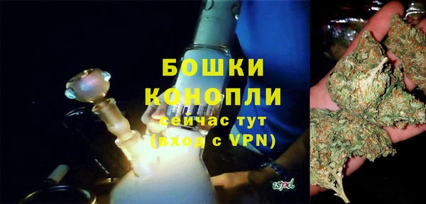 индика Сосновый Бор