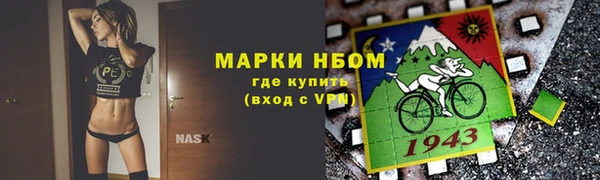 индика Сосновый Бор
