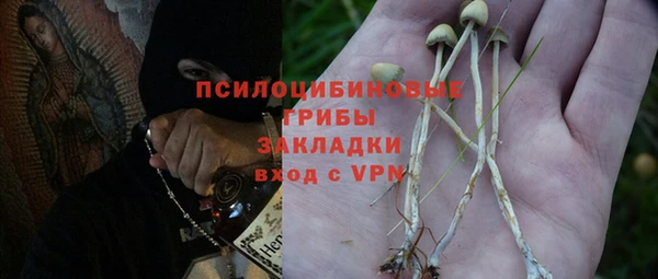 индика Сосновый Бор