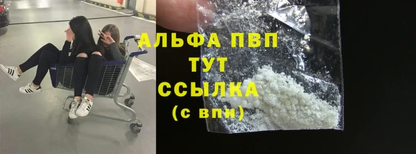 индика Сосновый Бор