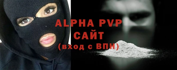амф Снежногорск