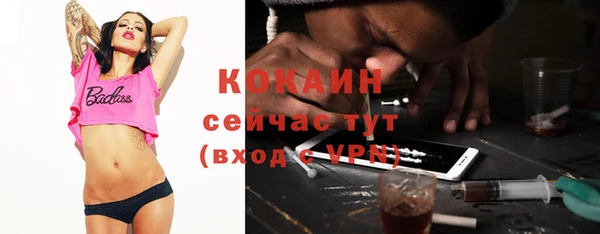 амф Снежногорск