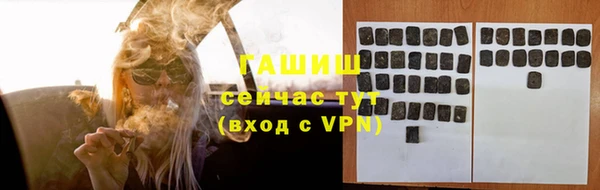 амф Снежногорск