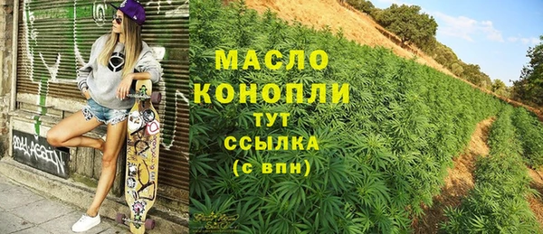 индика Сосновый Бор