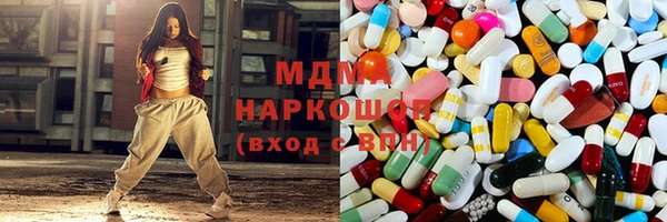 амф Снежногорск