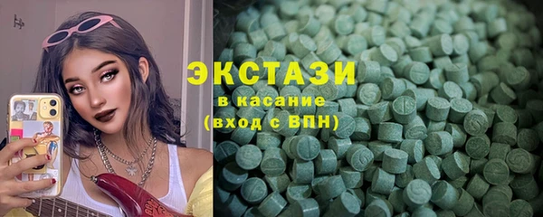 амф Снежногорск